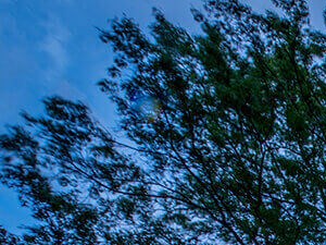 Foggy Bottom Apartments for Rent The 925 Apartments